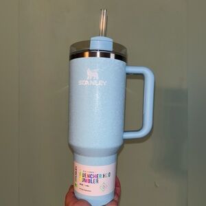 DSG limited edition winter Stanley tumbler